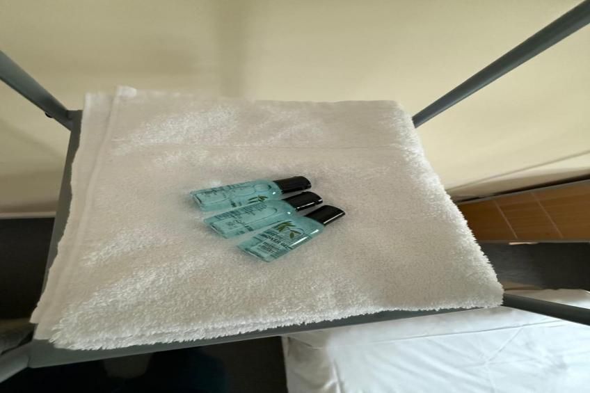 Standard Triple Room - foto 10