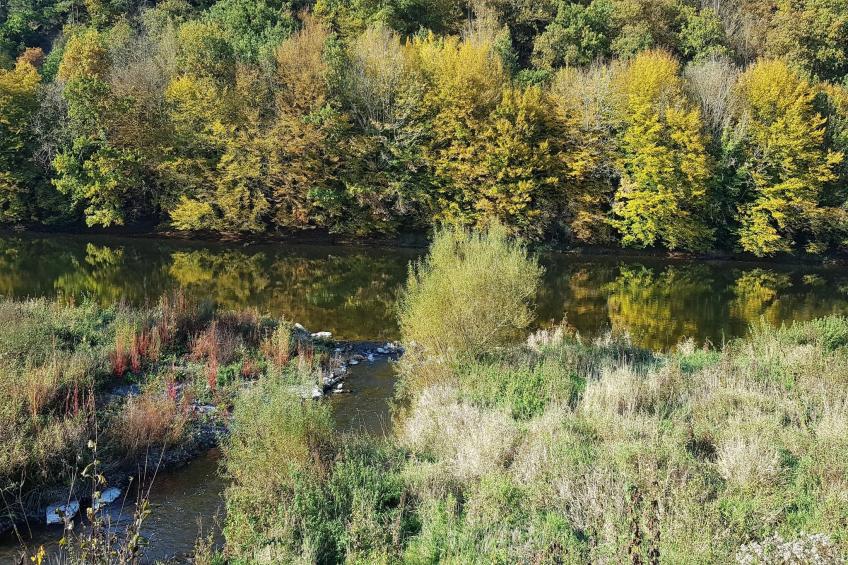 Au Coeur d'Alle Single Room - foto 35