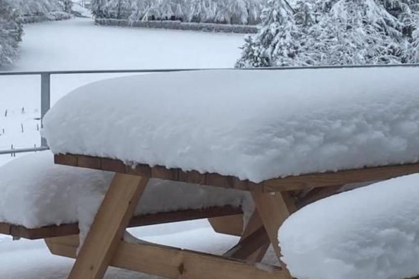 Exklusives Ferienhaus mit Terrasse und Garten - foto 34