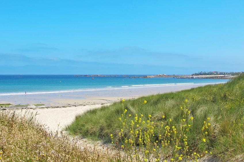 Das Dolmengebäude Clara - foto 83