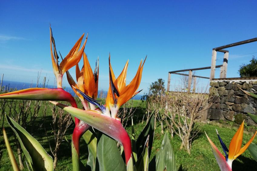 Tradicampo-Casa do Tanque - foto 12