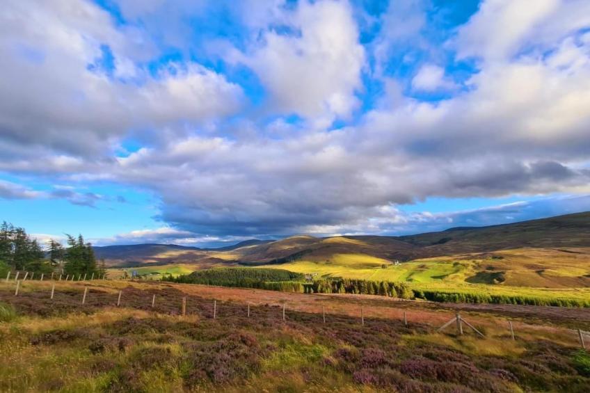 "Der Kornspeicher" mit Terrasse - foto 64