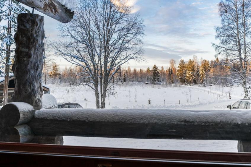 Eräkorven kelotupa - foto 23