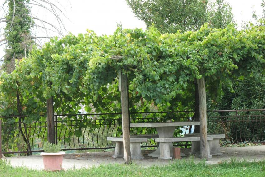 Anwesen mit Gemeinschaftspool - foto 33