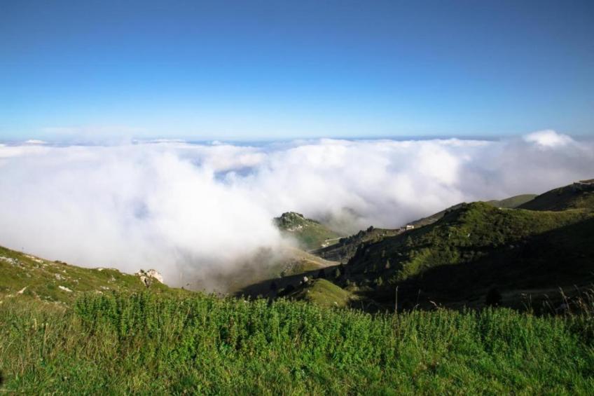 Le Do None Tre - foto 28