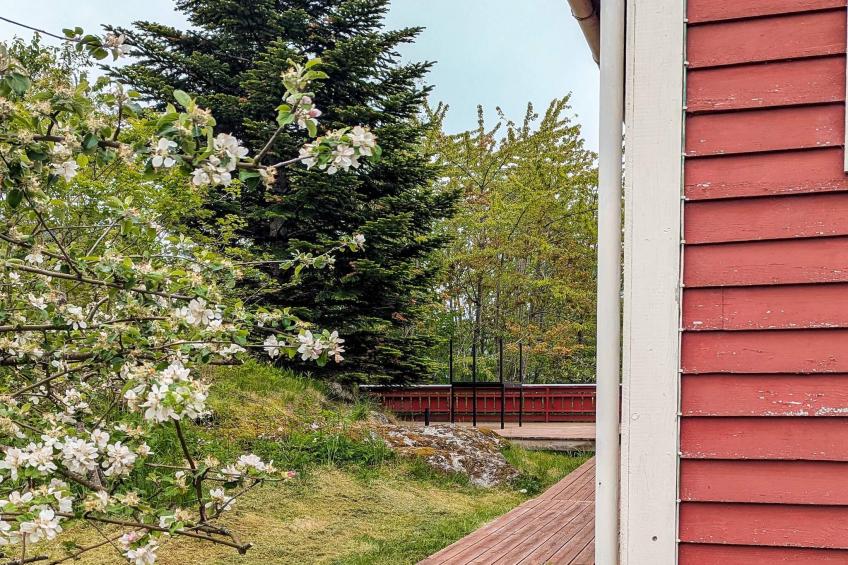 29672-FEDHEIM - foto 2