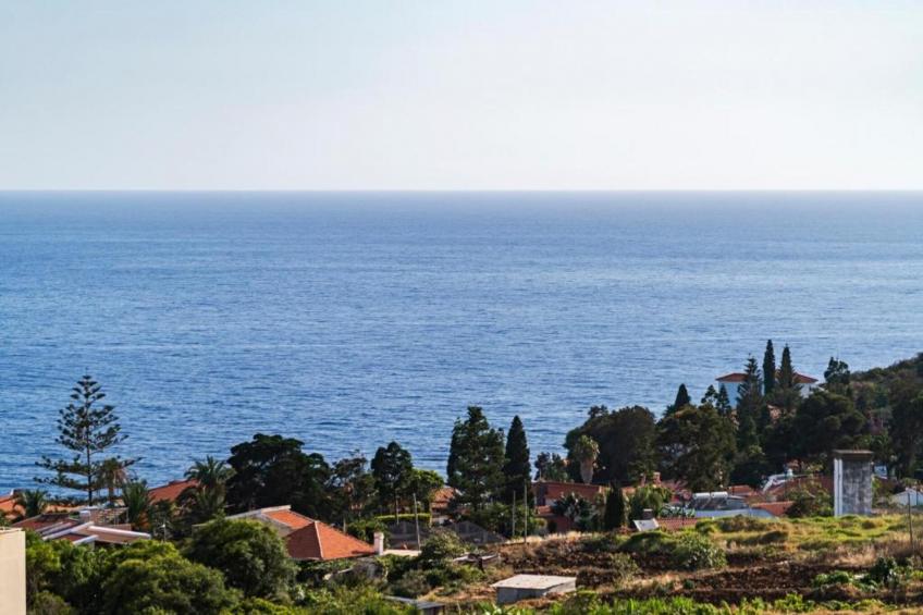 Quinta das Colmeias House - foto 22