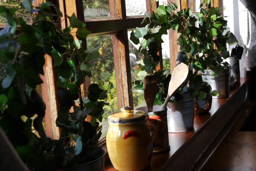 Minie's Cottage Wild Atlantic Way - foto 20