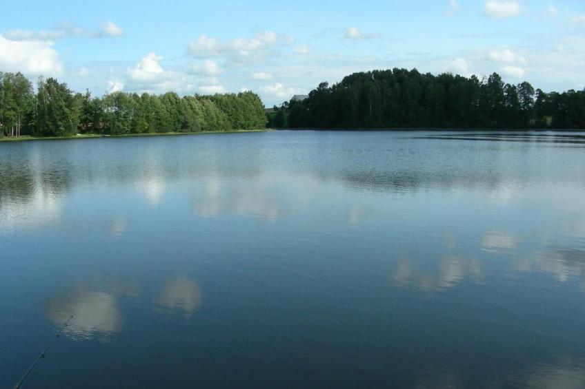 mit Wasserblick - foto 14