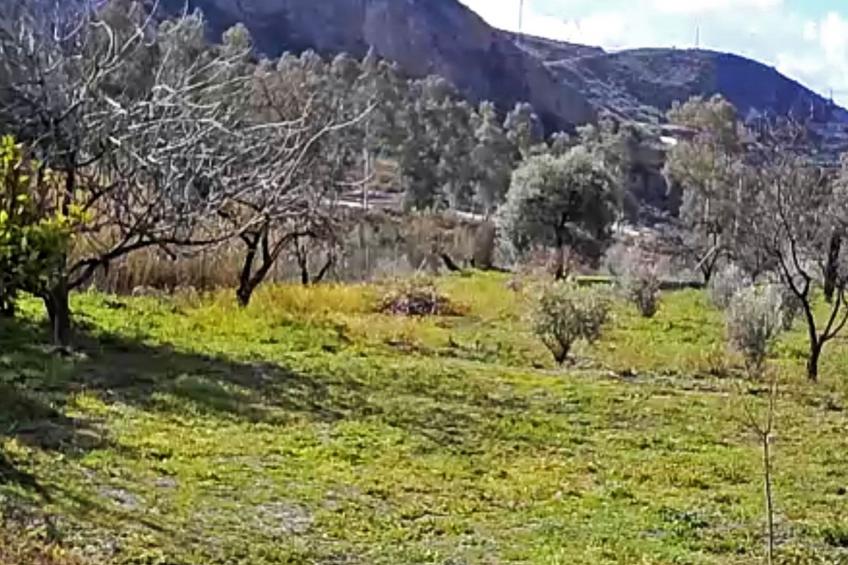Gemütliches Haus mit Schwimmbad in La Alpujarra - foto 32