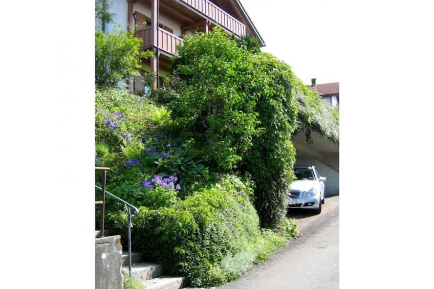 43702 - foto 2