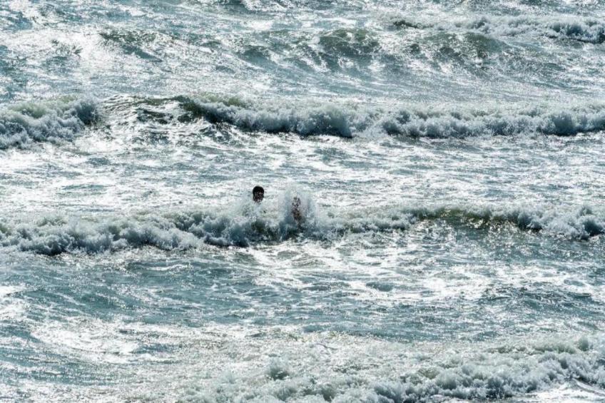 Aparthotel Zoutelande - 4 pers luxe appartement huisdieren - foto 27