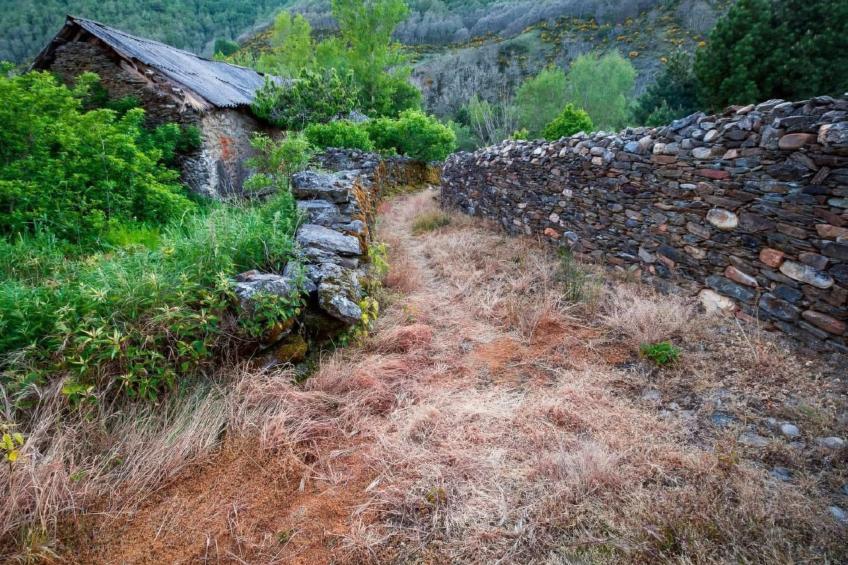 Rural House in the mountain of León - foto 15