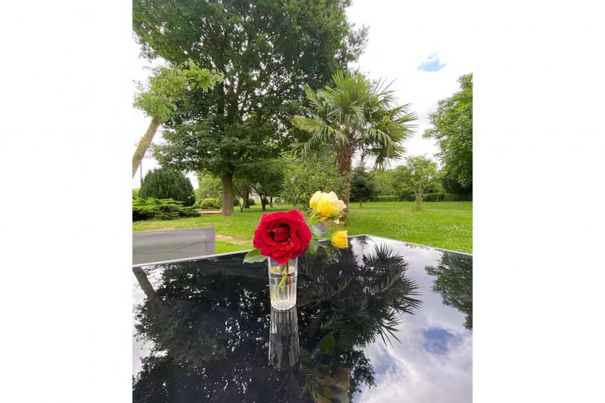 Gîte l'Armor  Jacuzzi terrasse privée cuisine - foto 19