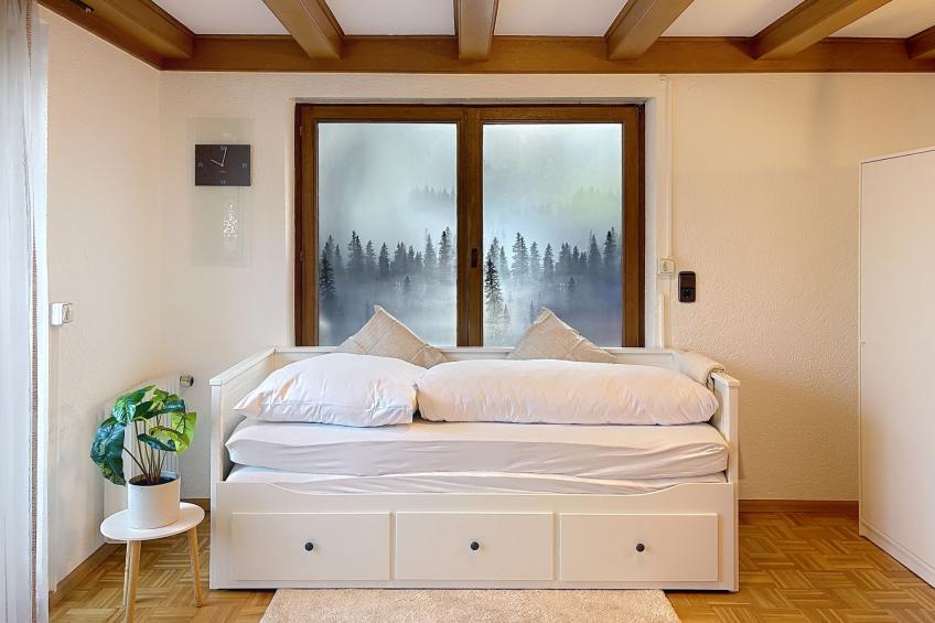 Sommer Apartements Schwarzwald - foto 14