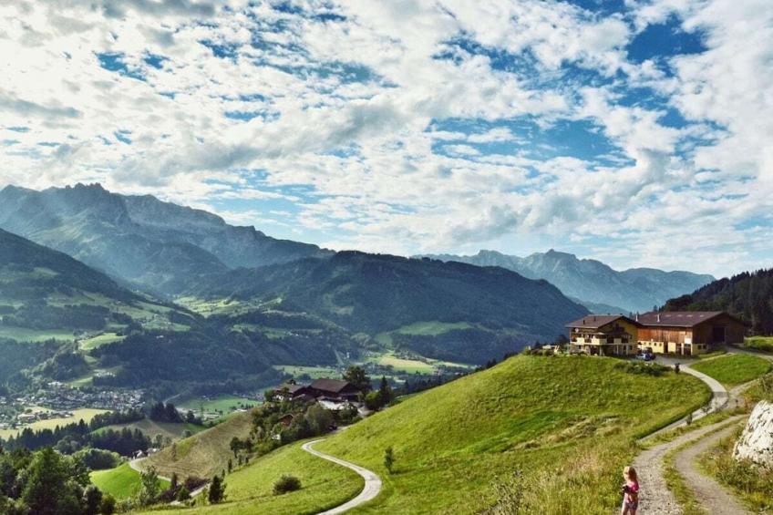 6226 - foto 2