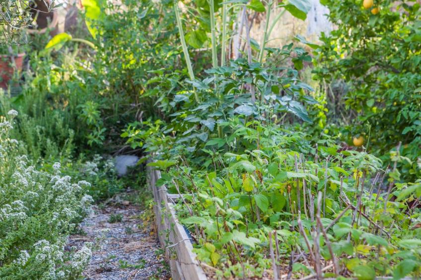 Hütte mit eigenem Garten und Grill - foto 33