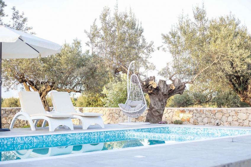 Kalathos Traum - Galazio Traum - foto 19