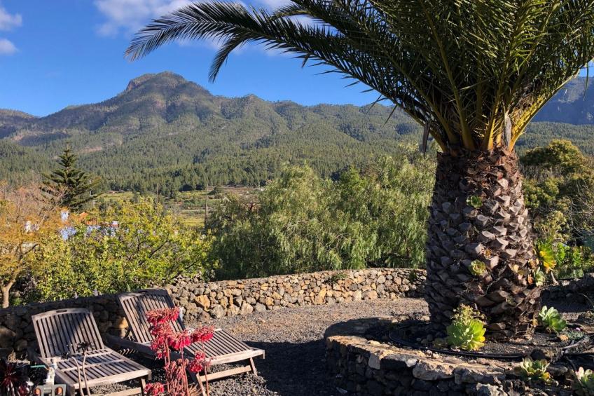 Las Tortugas - foto 15