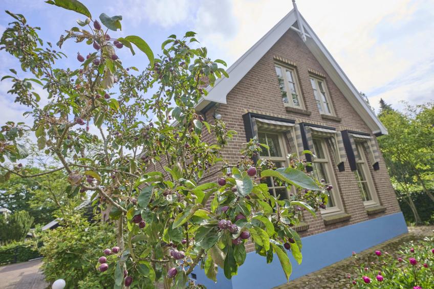 De Muldershof - foto 84