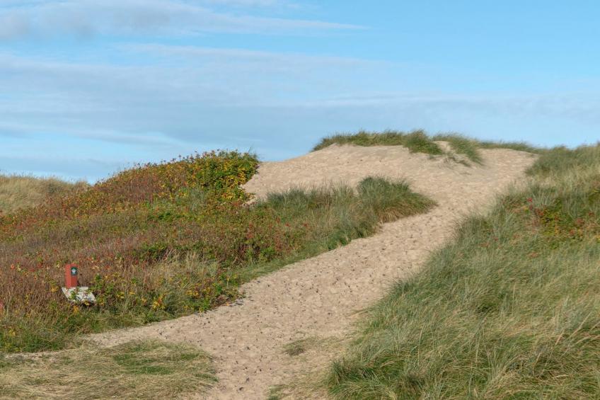 "Marissa" - 200m from the sea in NW Jutland - foto 28