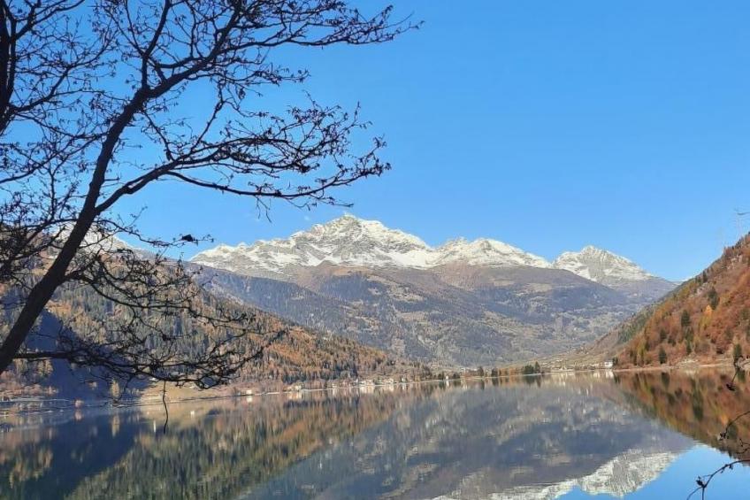 Sonnige 2.5-Zimmer Wohnung an ruhiger Lage - foto 10