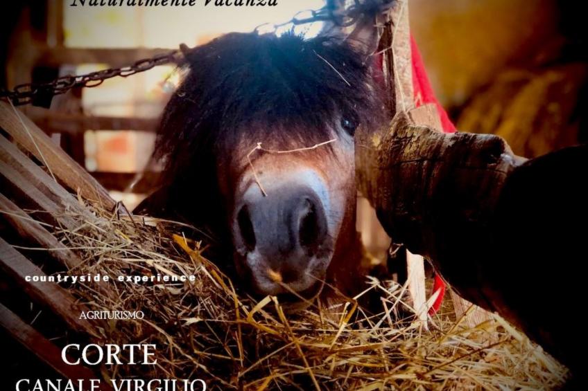 Das Landgut "Corte Canale Virgilio" mit Balkon - foto 27