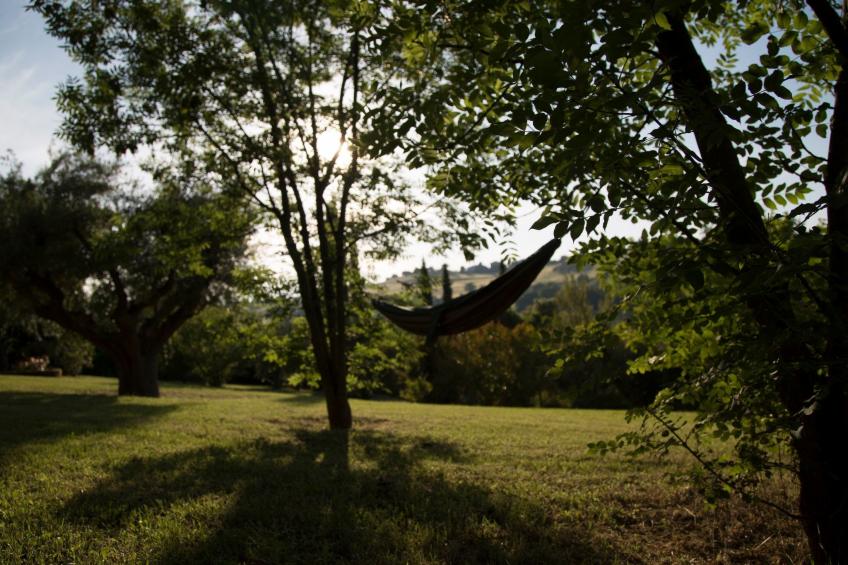 Haus der Musik 270m Veranda, Garten und Pool - foto 36