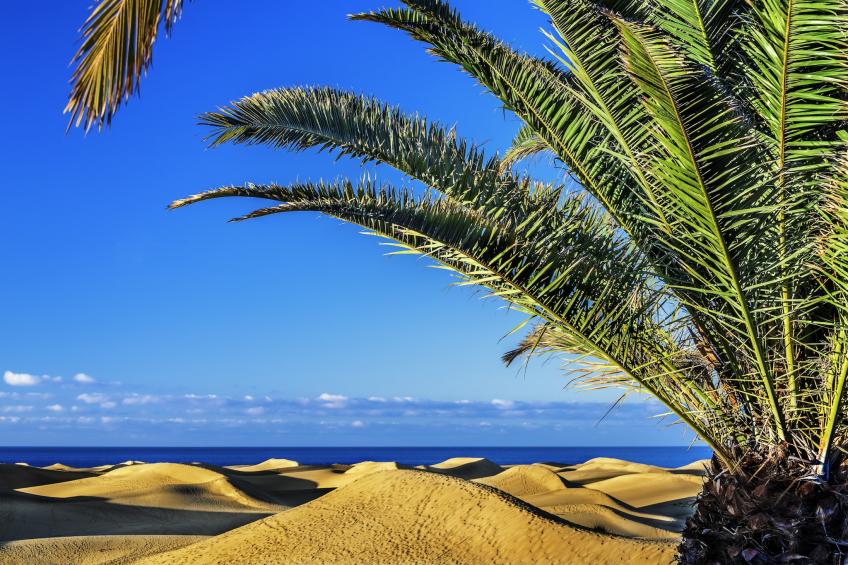 Rejon Hideaway B By CanariasGetaway - foto 33