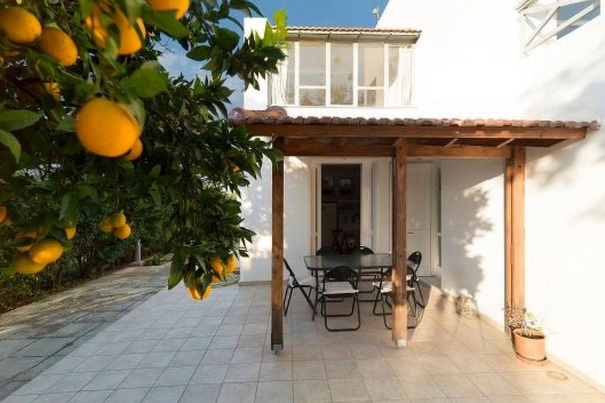 neben Orangenbaum-Obstgarten - foto 15