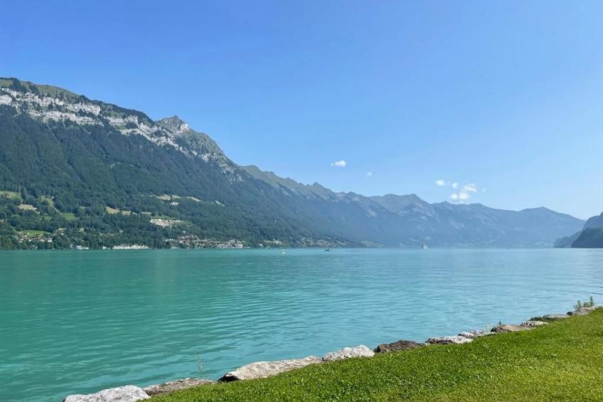 Chalet Bergruh - foto 40