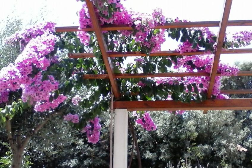 Erdgeschosswohnung Mia für vier Personen - foto 13