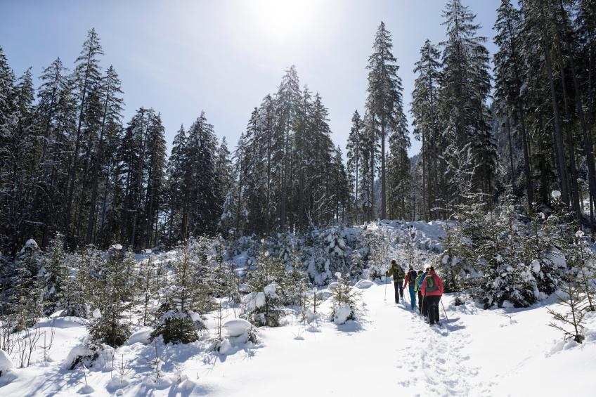 Holiday flats, Bramberg am Wildkogel - Type B - foto 23