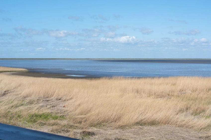 "Deljan" - 3.5km from the sea in Western Jutland - foto 13