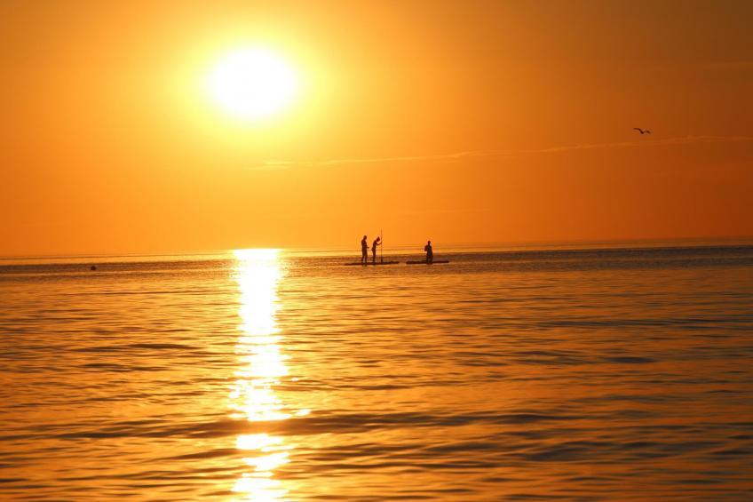 Inselhaus Paul auf der Insel Poel - foto 39