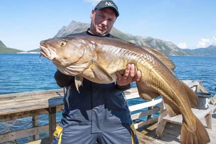 Meløy Naturopplevelser Tømmervik - foto 23