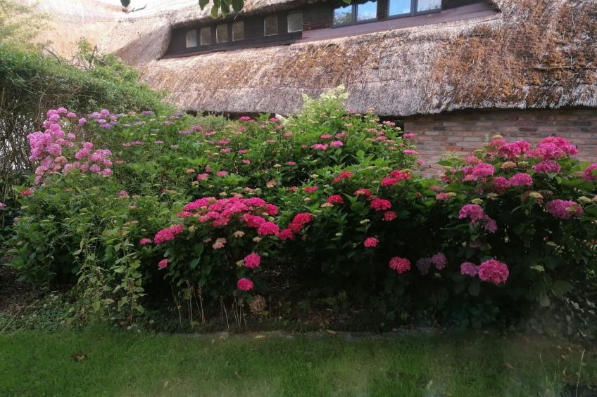 Rügen - Promoisel - Auszeit am Kreidesee, zwischen Sassnitz und Sagard - foto 18