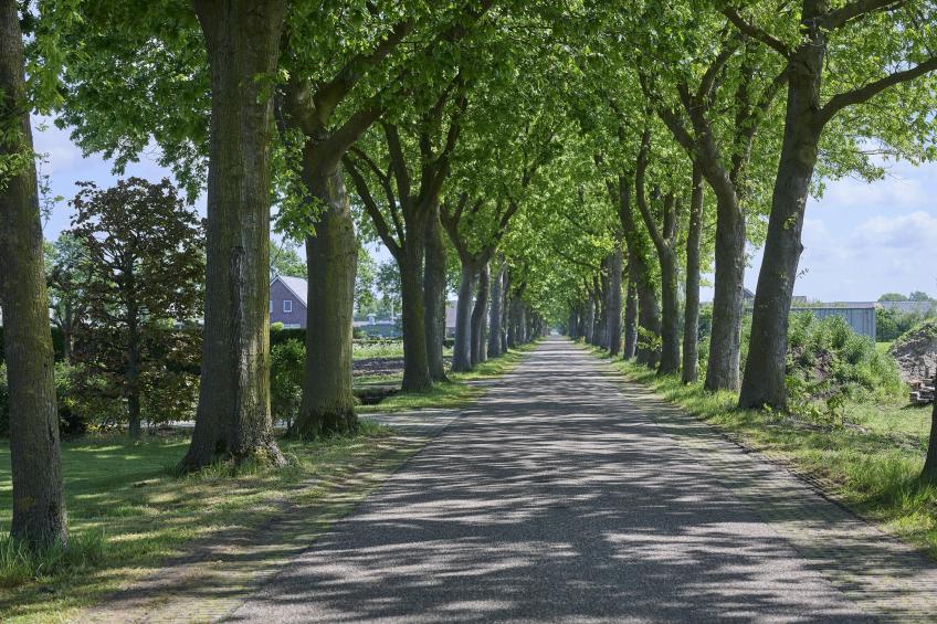 De Open Schuur - foto 41
