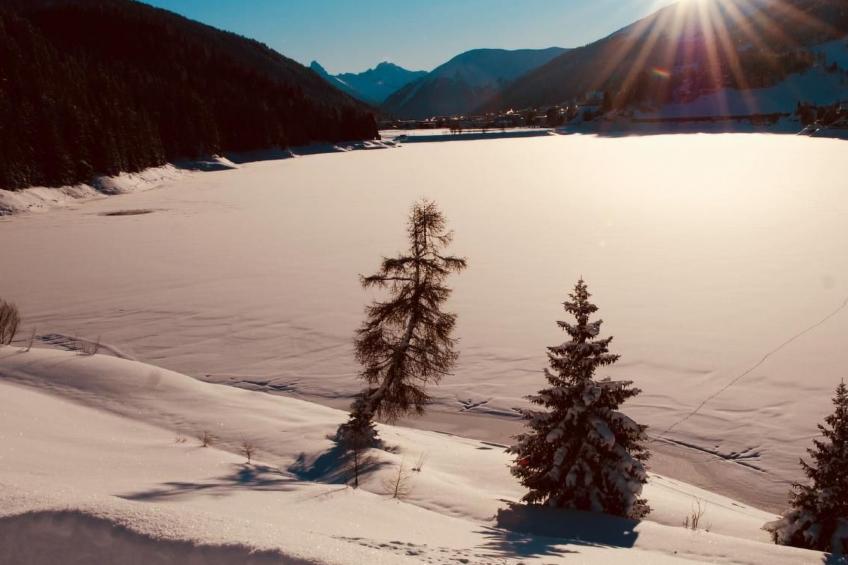 The Holiday Home Davos - foto 3