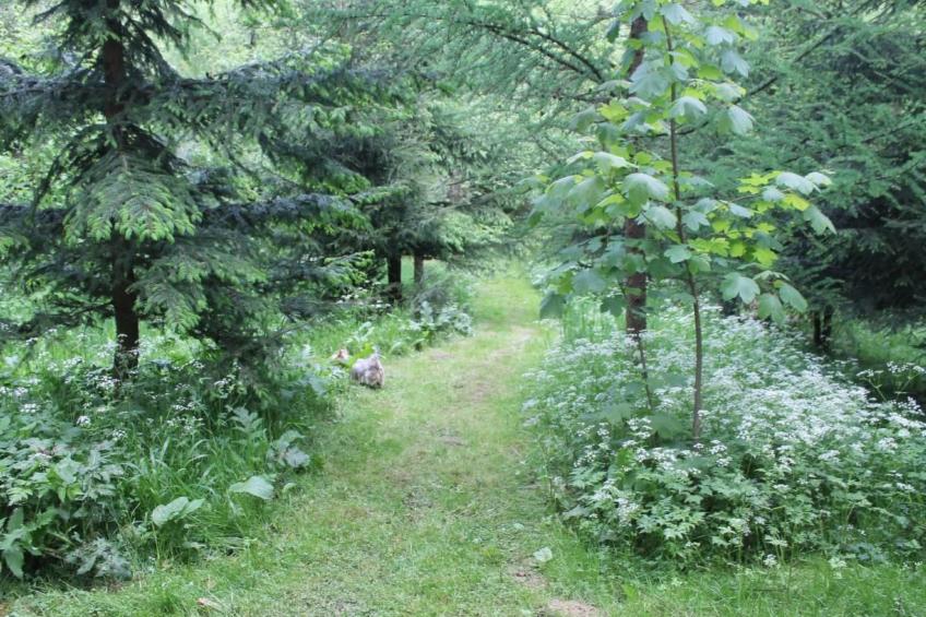 Komfortables Ferienhaus Ewa in Meszna Opacka - foto 22