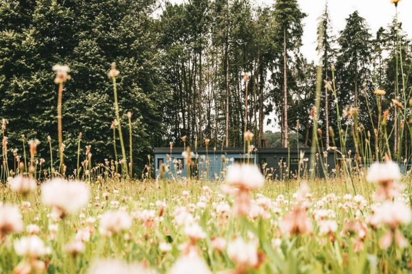 Résidence du Domaine du Moulin Neuf - foto 8