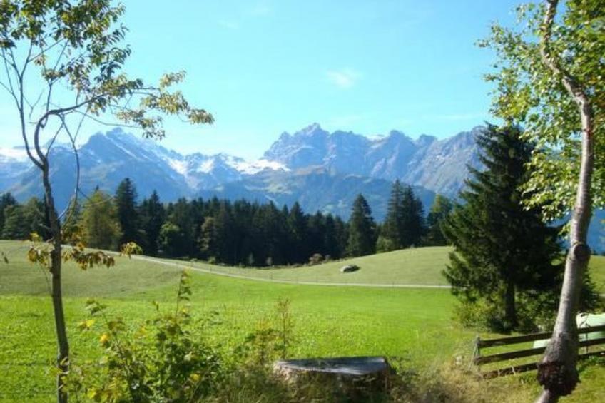 Ferien im grünen links - foto 11