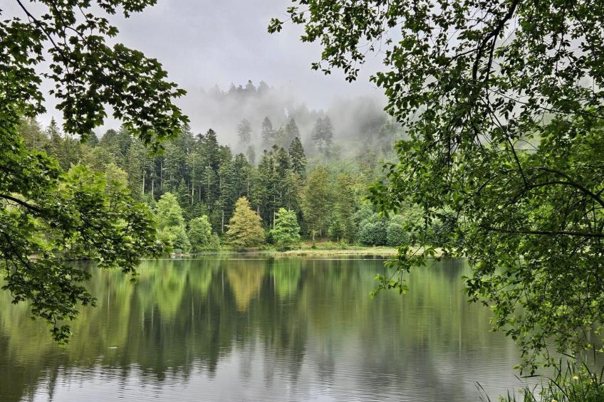 in Ventron mit eingezäuntem Garten - foto 17