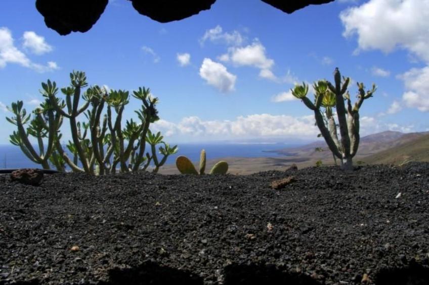 Casa de Niro - foto 18