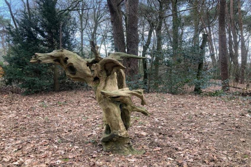 Buitenplaats Gerner 7 - foto 29