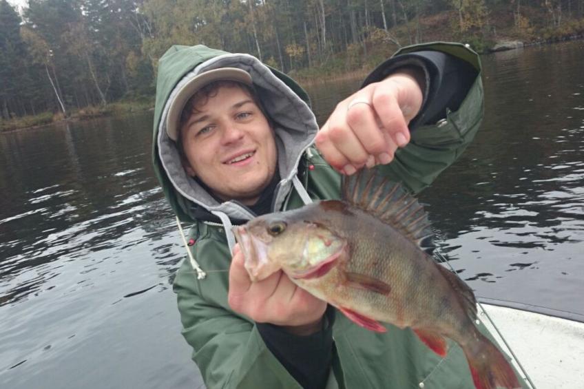 Cottage mit Whirlpool - foto 5