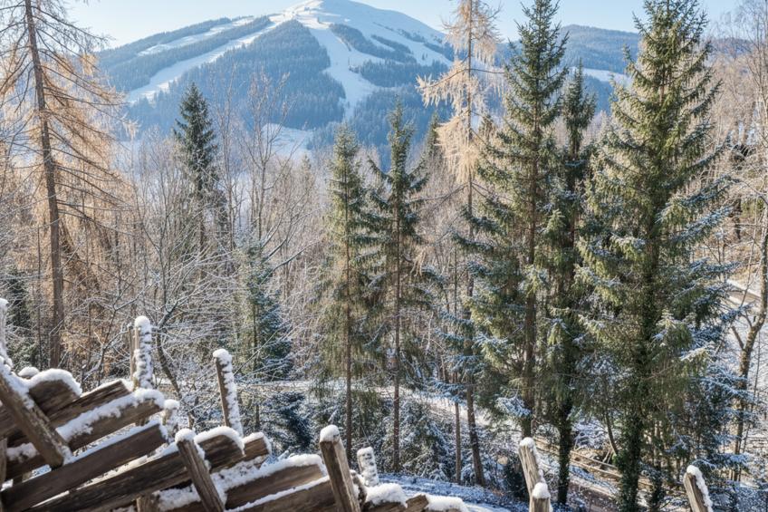 DAS Alpbach - foto 25