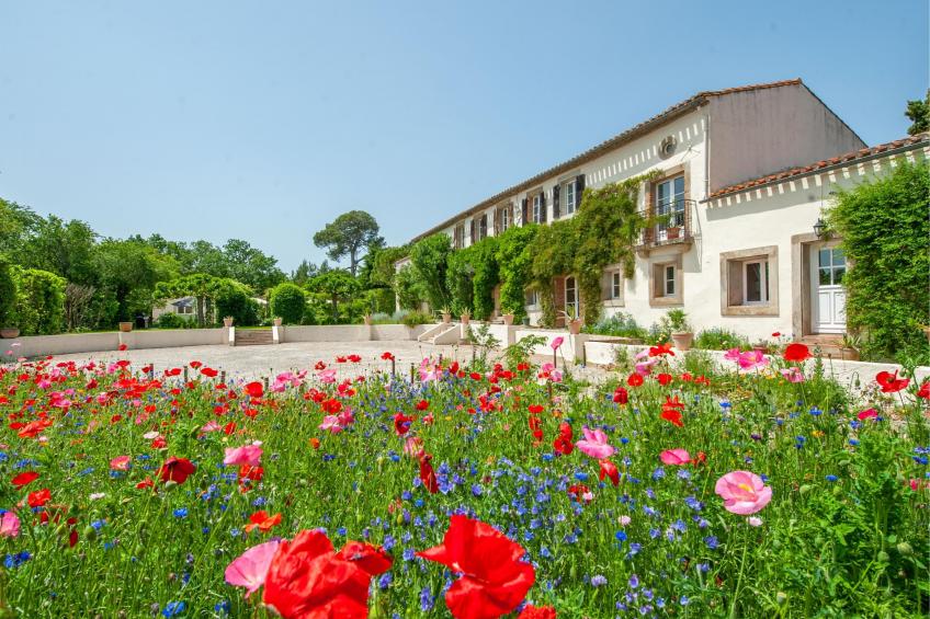 Manoir de Montréal - West Wing - foto 2