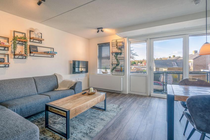 Zeedistel 20 - foto 3