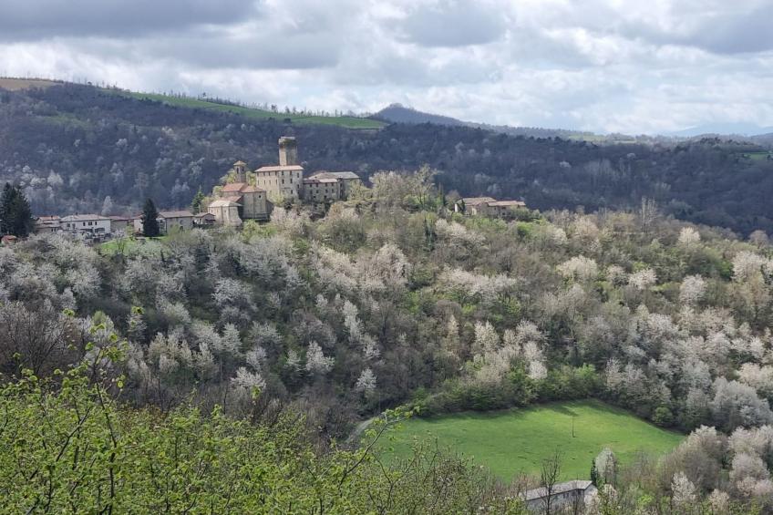 Cascina Bricco - Perletto Ferienwohnung - foto 64